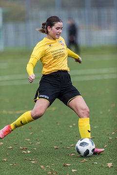 Bild 218 - F FSC Kaltenkirchen - SV Frisia 03 Risum-Lindholm : Ergebnis: 0:7